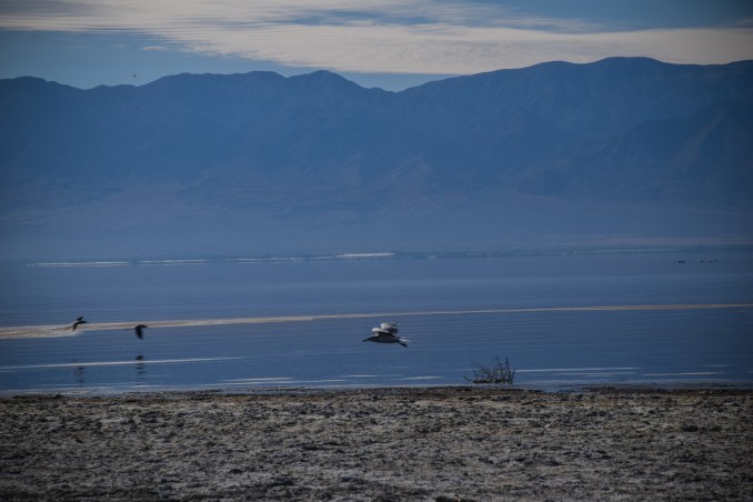 SaltonSea1